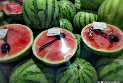 各种网红爆料吃瓜视频,揭秘娱乐圈幕后真相